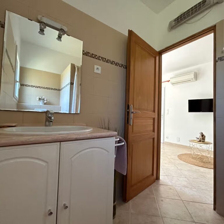 Salle d'eau avec lavabo, vue vers le séjour