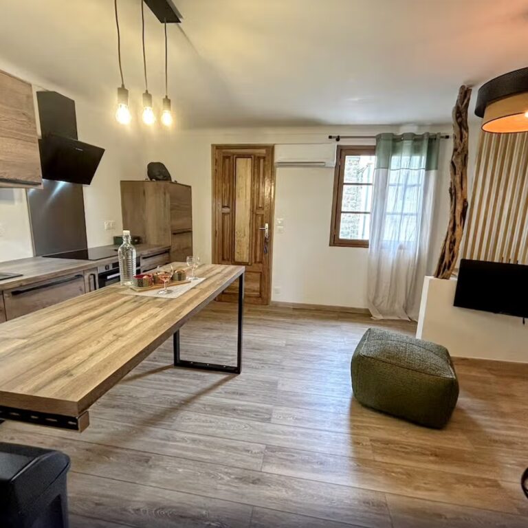 Pièce à vivre : cuisine équipée, grande table et coin salon