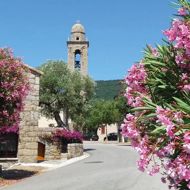 Rue du village et clocher de Monacia d'Aullène, entre les lauriers-roses