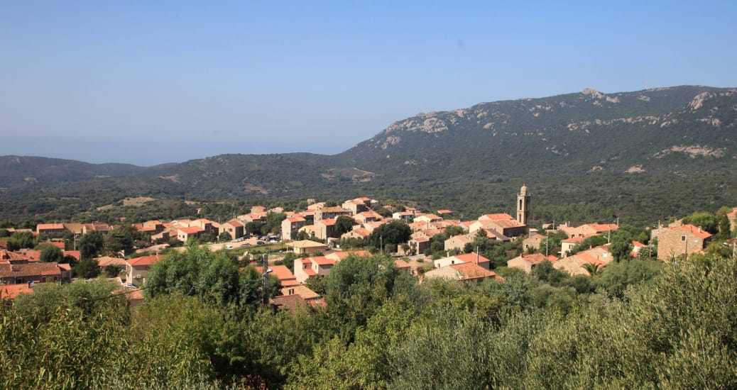 monacia-d-aullene-corpor23q118-ap-monacia_62acbbc7b68e526acbbc7b68ec9acbv_