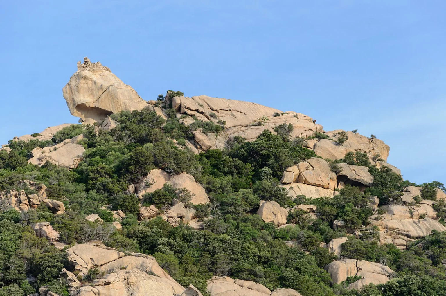 Rocher de granit du Lion de Roccapina, dominé par une tour génoise en ruine